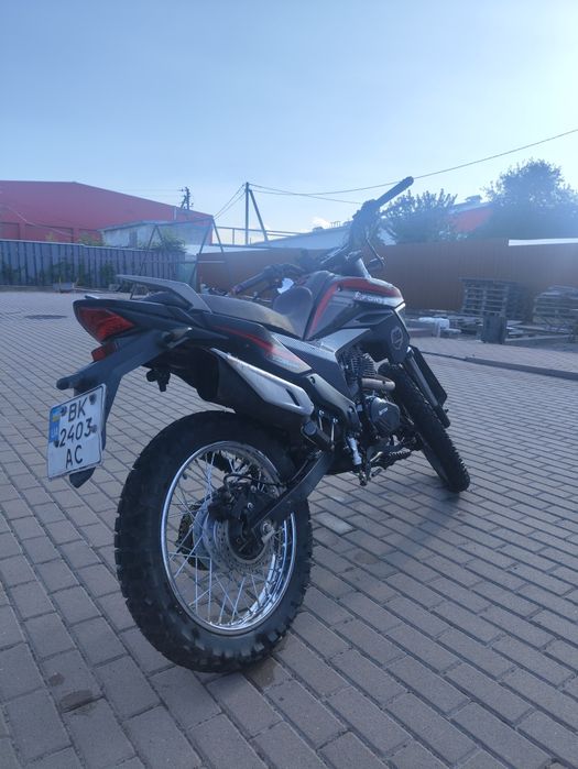 Rottor-Forte 300 на 175FMM