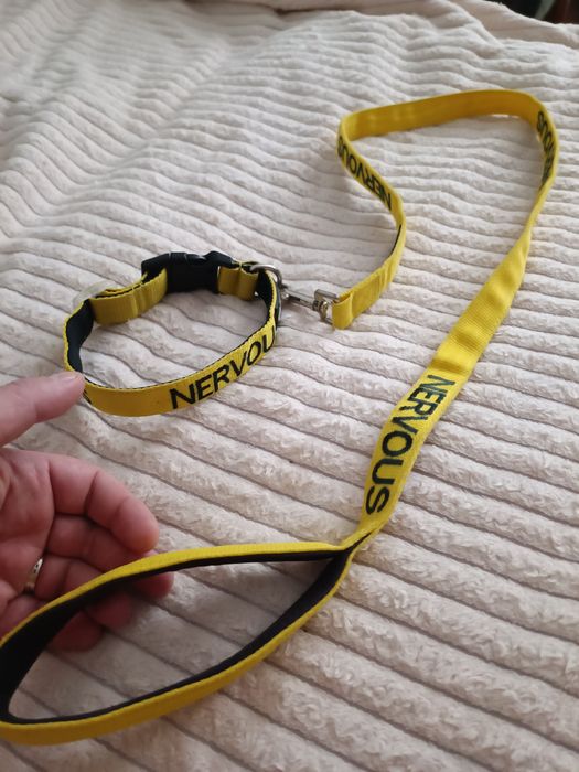 Проводок с ошейником DEXIL Nervous