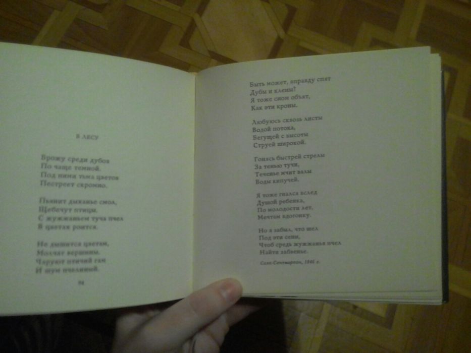 Ш. Петефи. Любовь и свобода