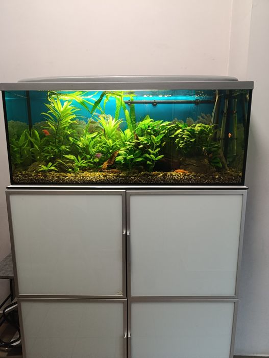 Акваріумний  повний комплект на 240л.