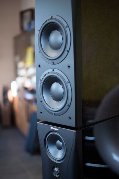 DYNAUDIO Evidence Platinum