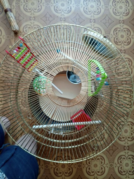 Клетка для попугаев