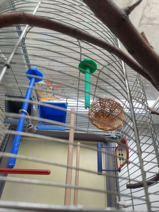 Клетка для попугаев