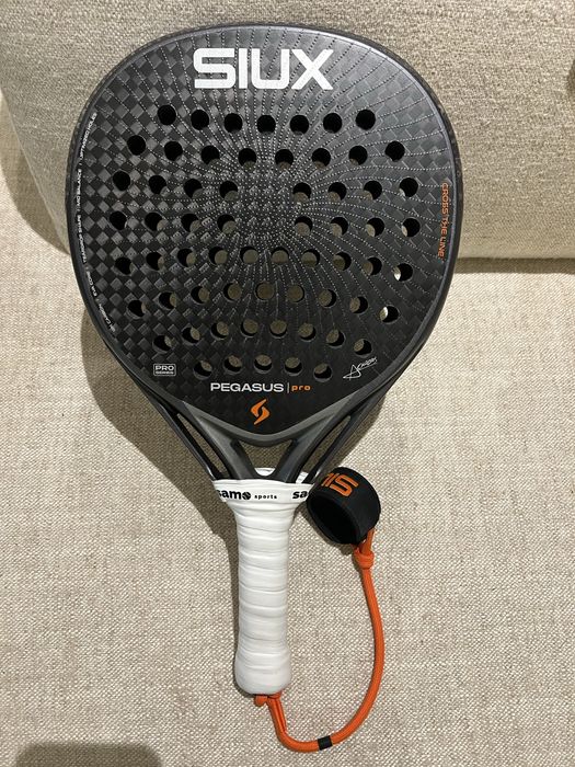 Siux Pegasus Pro 2026