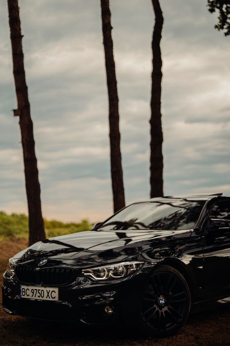 Bmw 428i F32 (290 к.с)