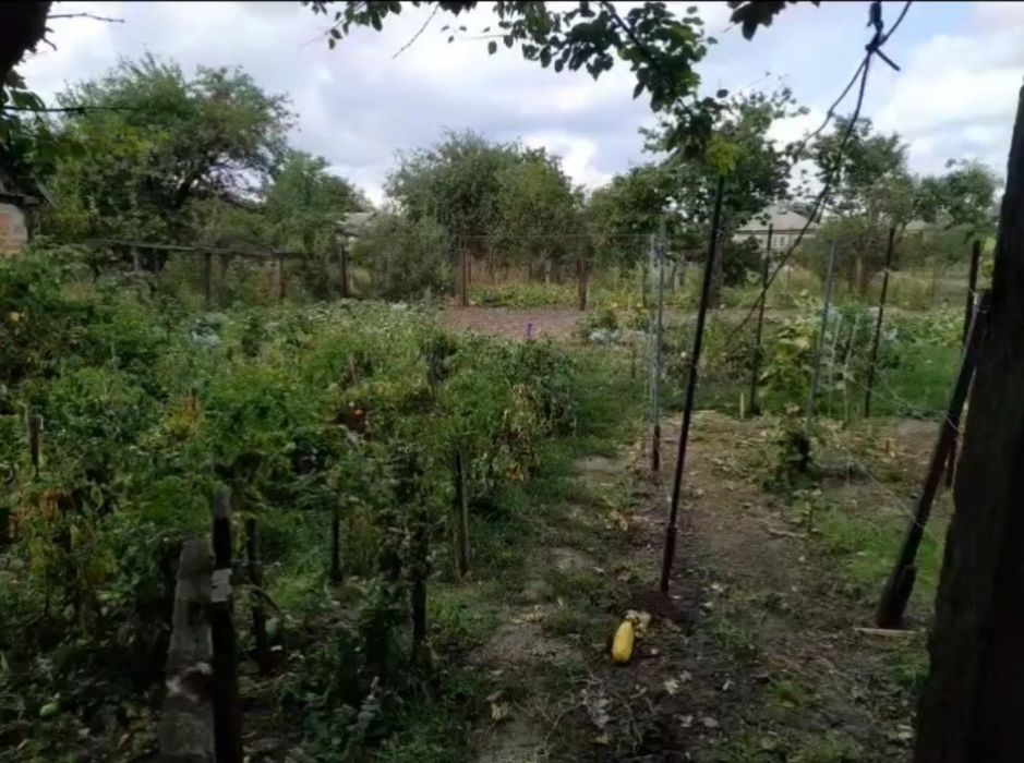 Продам затишний будинок