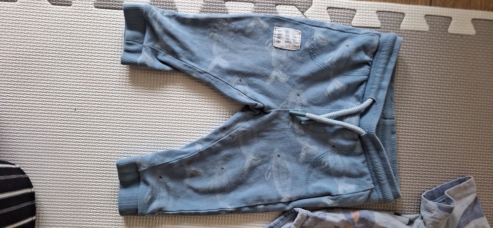 Komplet body i spodenki Coccodrillo rybki morski rozmiar 68