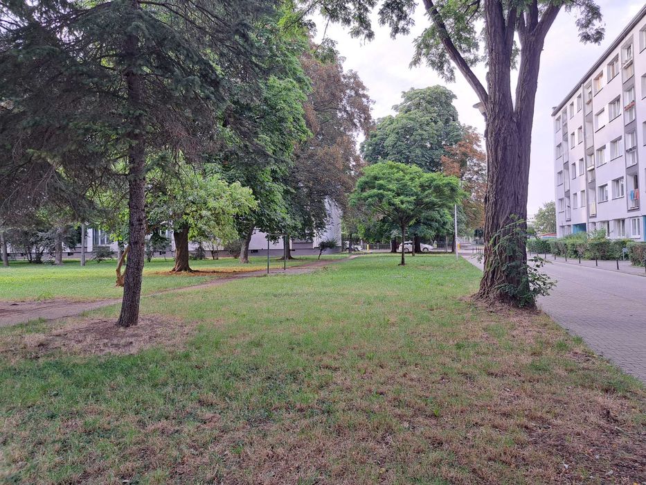 Zdjęcie 8