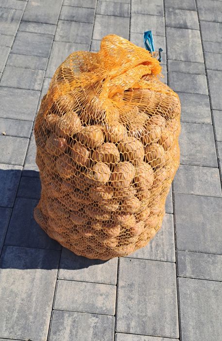 Ziemniaki paszowe 6zł