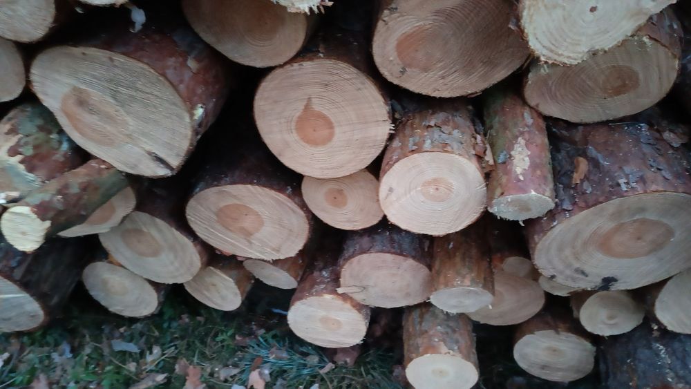 Drewno  opałowe/ kominkowe