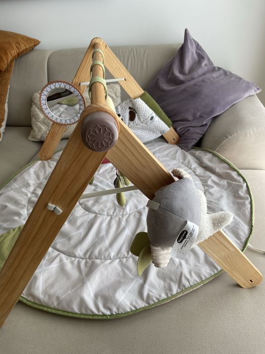 Ginasio Infantil TinyLove Luxe