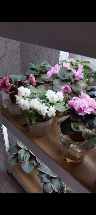 Стелаж для дому ,стелаж для квітів.