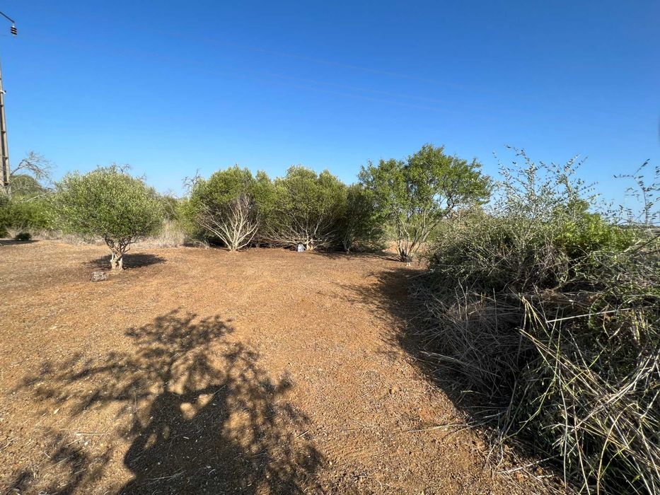 Terreno rústico sito junto à zona urbana de Algoz