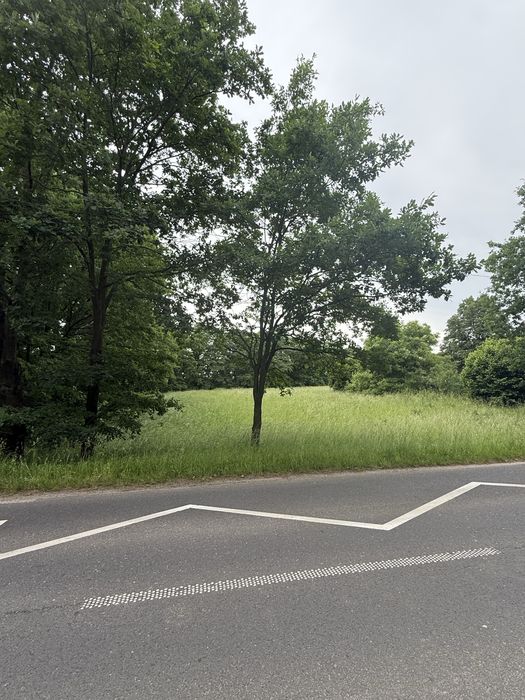 Działka budowlana 20 arów - Widok 4