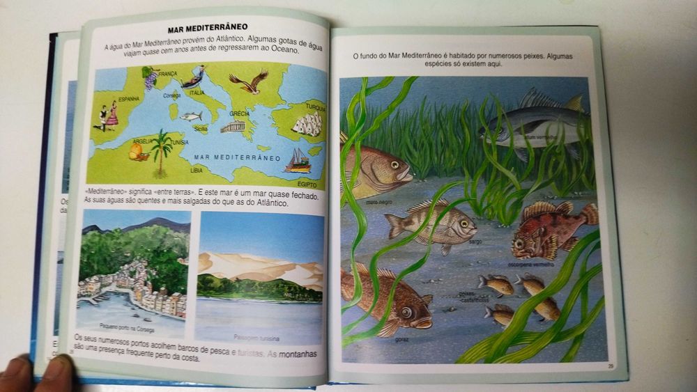 Dicionário por imagens do mar - Émilie Beaumont