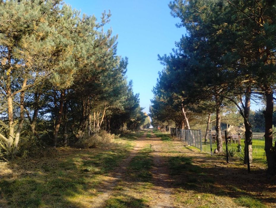 Działka budowlana   z  prądem, wodą i planem zagospodarowania