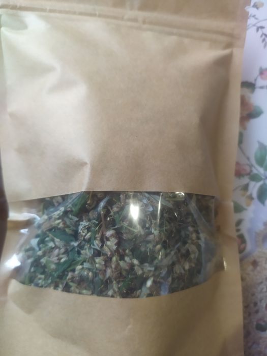 Піжма, збір-08.2025