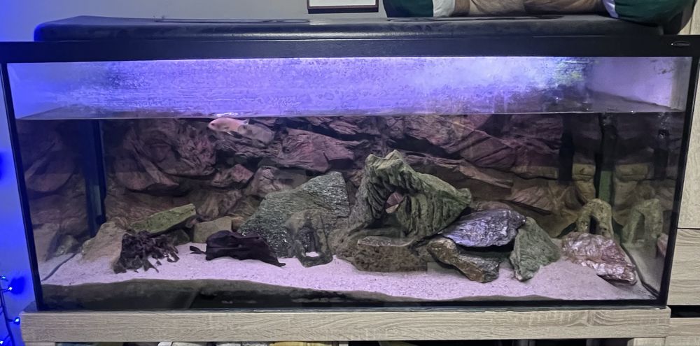 Sprzadam akwarium 120x40x50