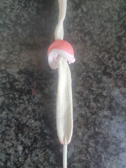 Planta carnívora mario piranha plant