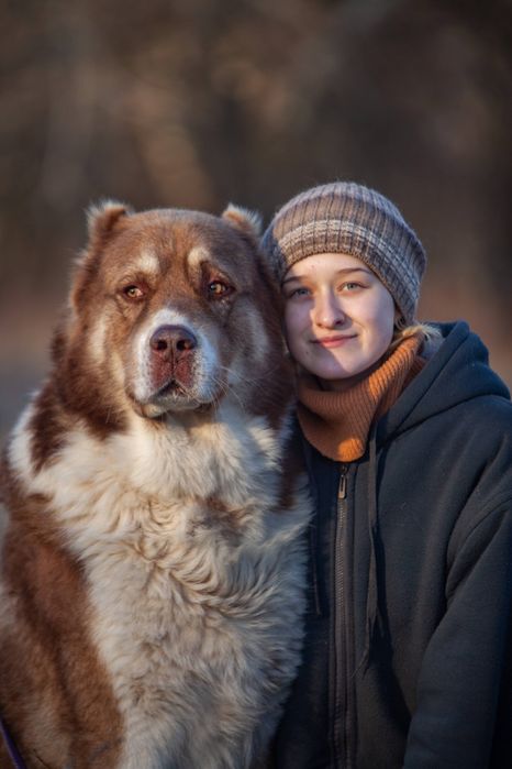 Кінолог, інструктор з дресирування