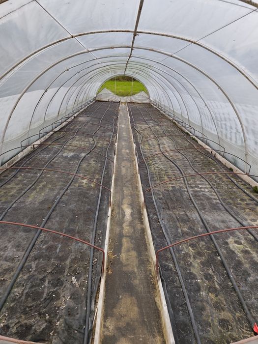 Tunel foliowy 16x4