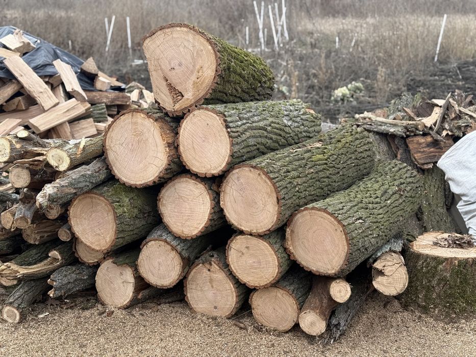 Продам дрова Окацію ,Дуб.