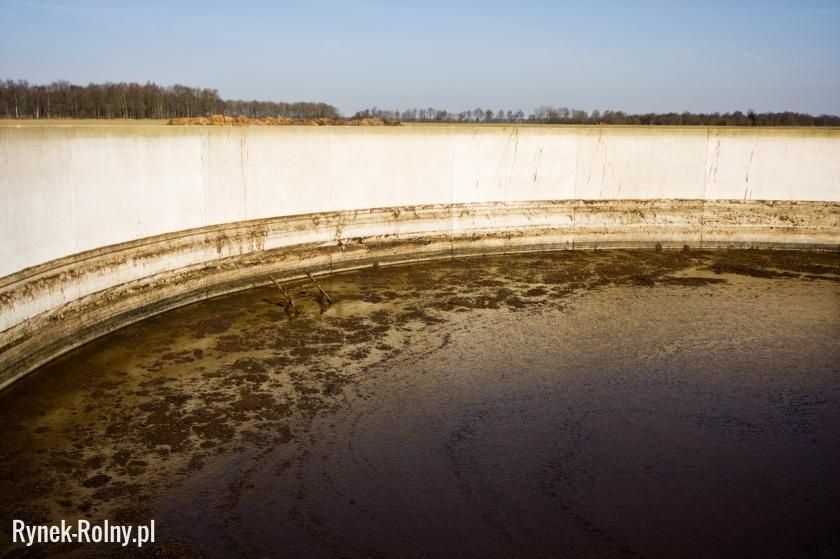 Gnojowica trzoda chlewna