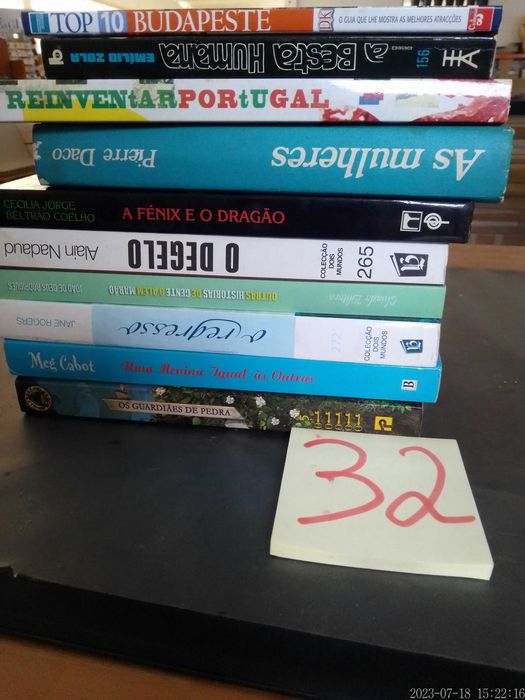 Lote 32 - LIVROS - Vendidos INDIVIDUALMENTE a Vários Preços