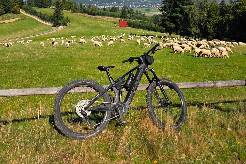 Rower elektryczny Cube Stereo Hybrid 140 HPC SLX 750 carbon M