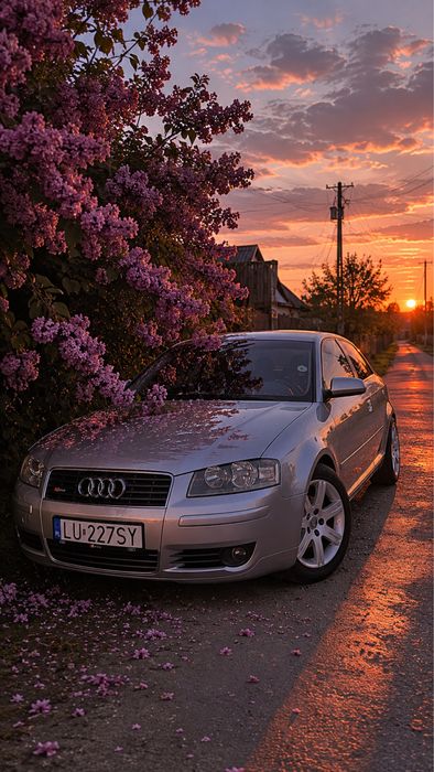 Audi A3 8P S-Line 1.6mpi Klima/grzane fotele/uszkodzony silnik