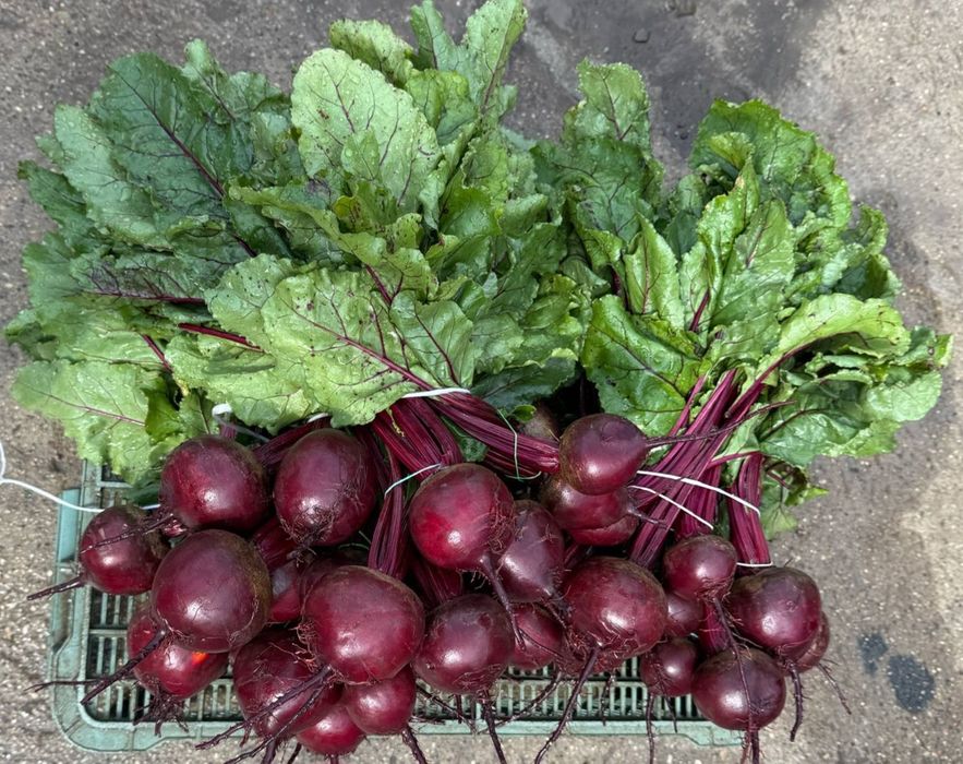 Warzywa Buraczki czerwone Marchew seler Por