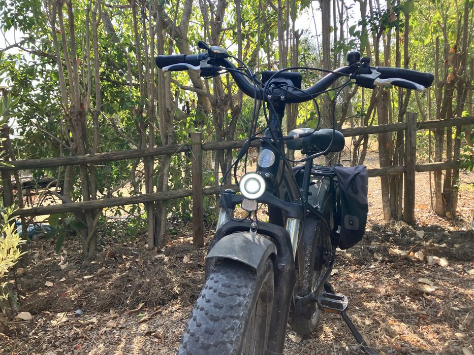 Bicicleta Elétrica  - Fat bike - RadRhino — Rad Power Bikes