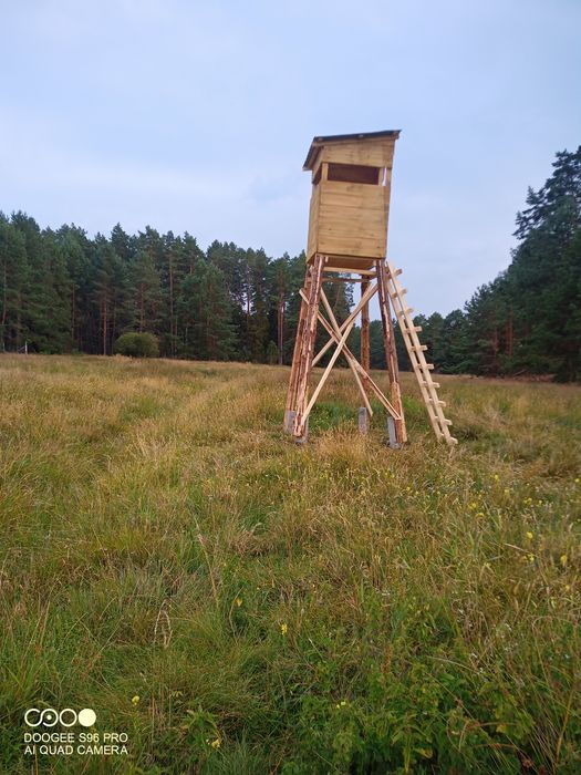 ambona-my-liwska-my-liwskie-byt-w-olx-pl