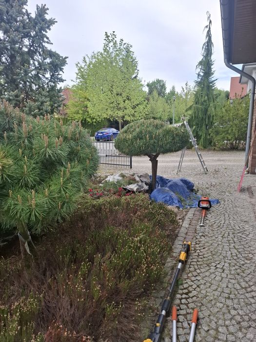 Uslugi ogrodnicze
