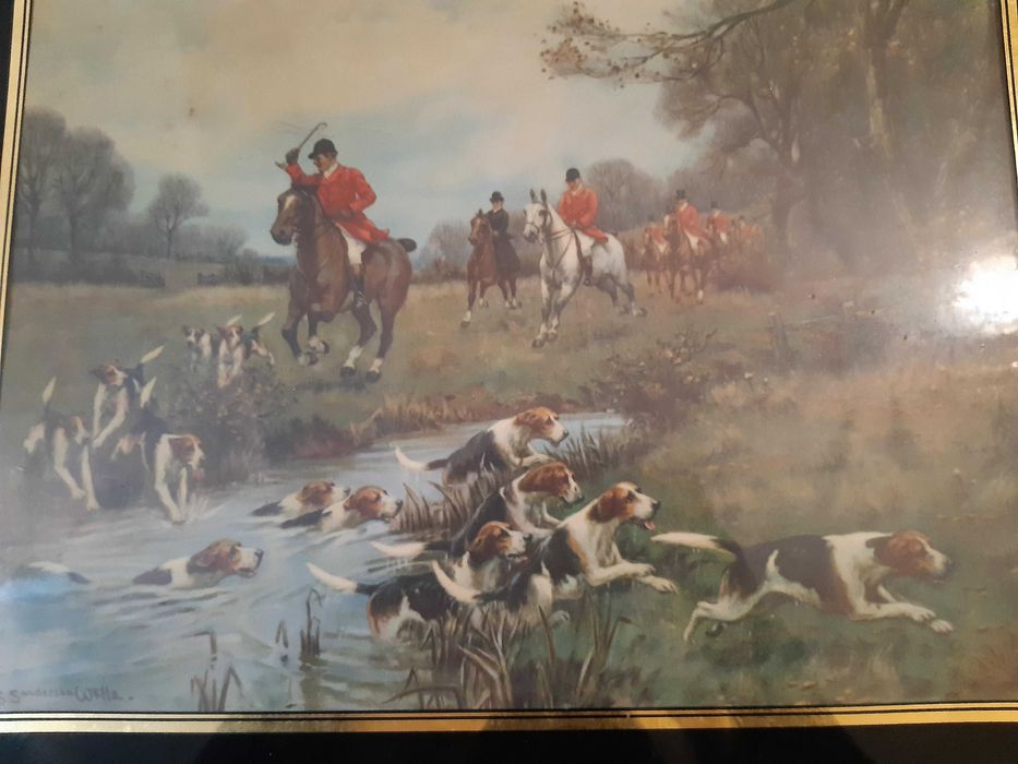 Quadro anos 1950, gravura Caça às Raposas,excelente estado conservação