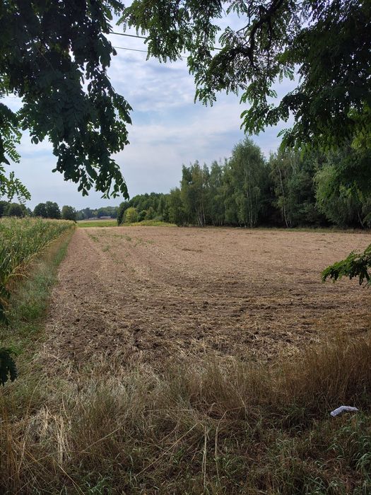 Sprzedam działke budowlaną/rolną