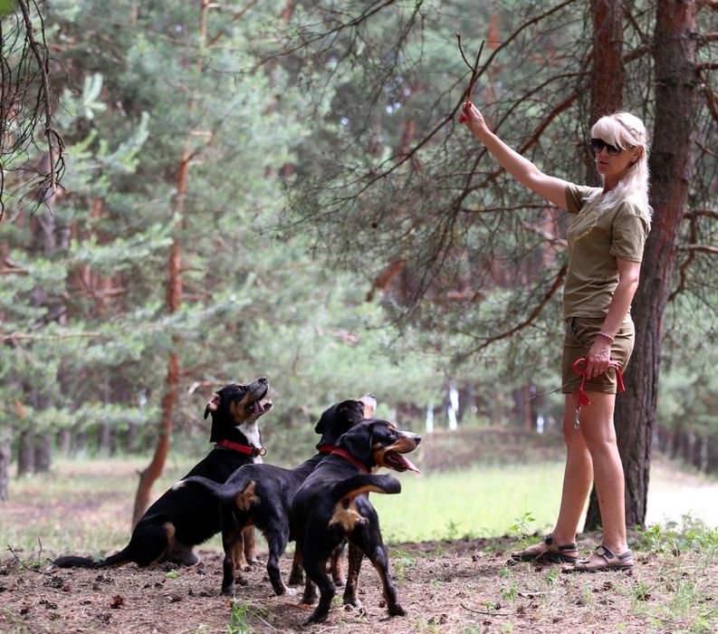 Ентлебухер зенненхунд  ODYSSEUS Энтлебухер зенненхунд!