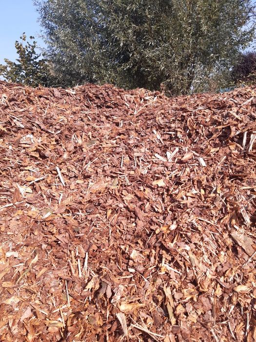 Kora sosnowa świeża gruba worki 80l