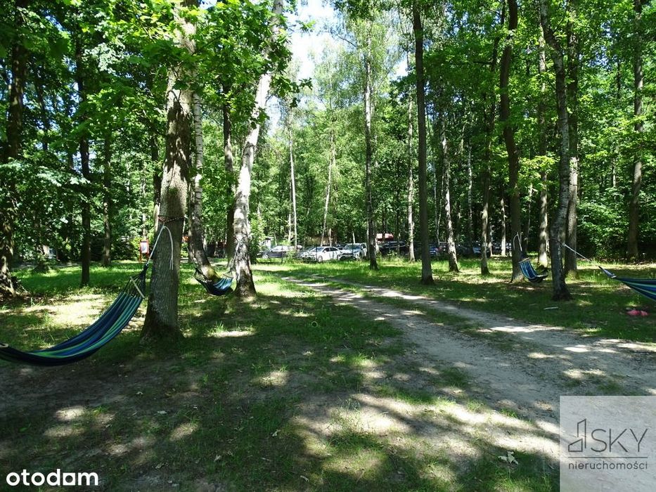 Całoroczny domek nad stawami | Wilczyn Leśny