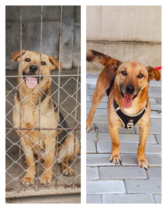 Dejzi i Iwo. Czy mozemy liczyc na wspolny dom? My tracimy nadzieje