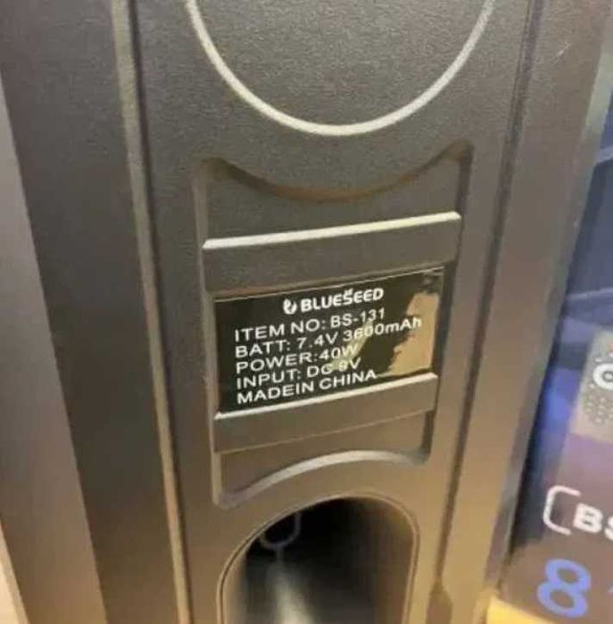 Музыкальная колонка TTD-2820 — мощная акустика для дома и улицы