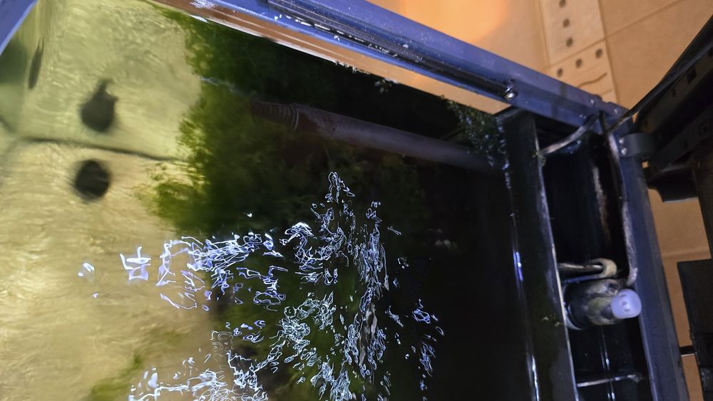 Aquário Será Biotop mano Cube 60lt