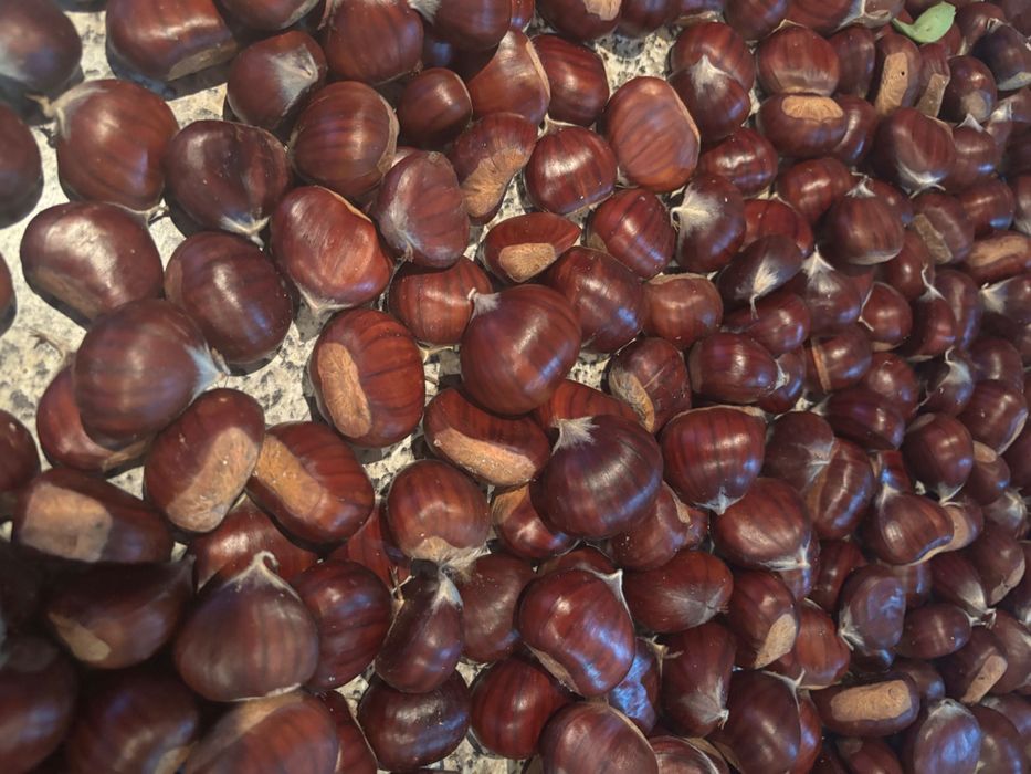 Castanhas de boa qualidade