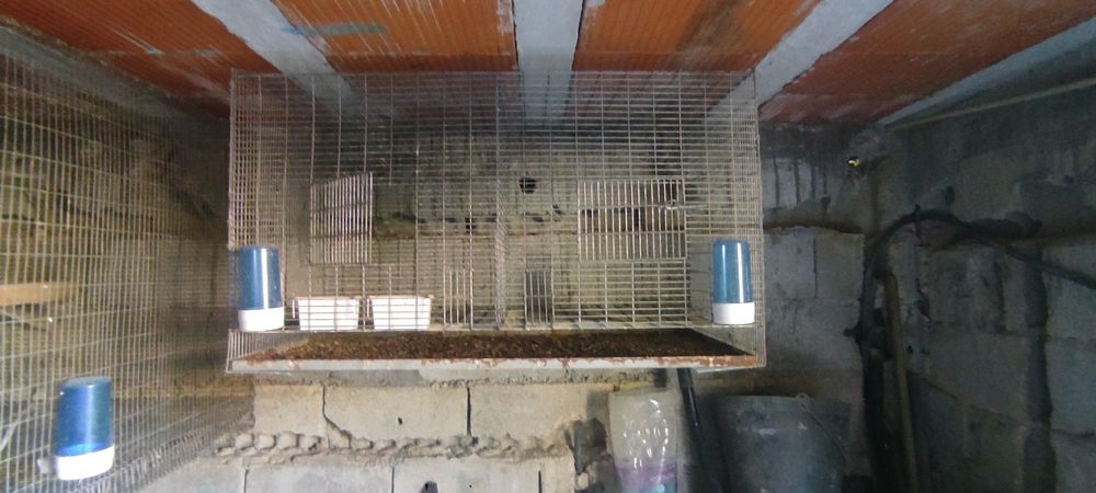 Gaiolas para pássaros