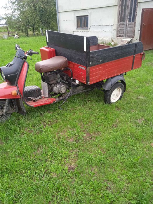 Муравей  з документами все перебране