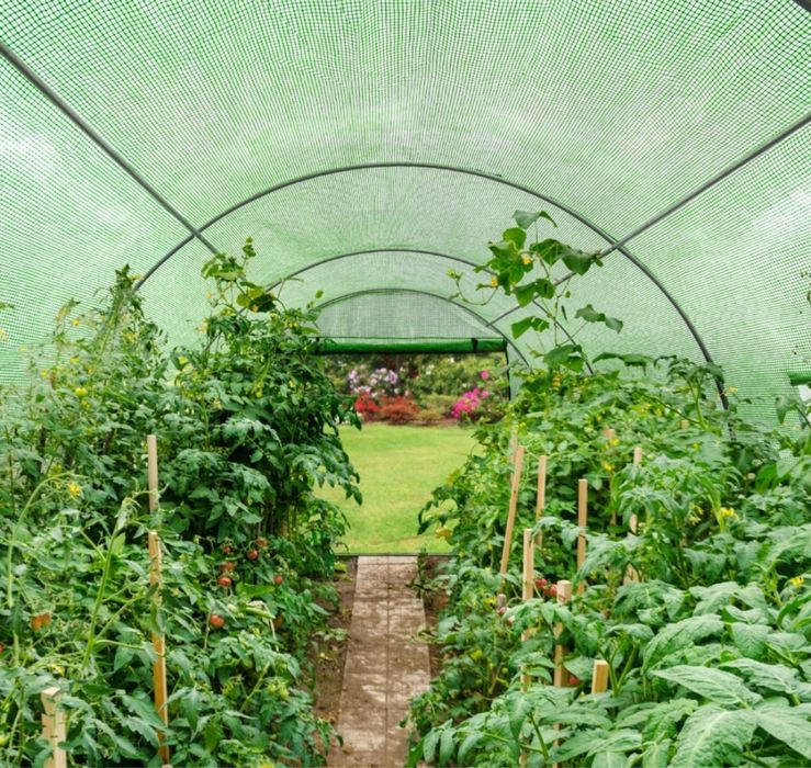 Tunel Foliowy Szklarnia Foliak 300x200 3x2 Stelaż + Folia Ogrodowy