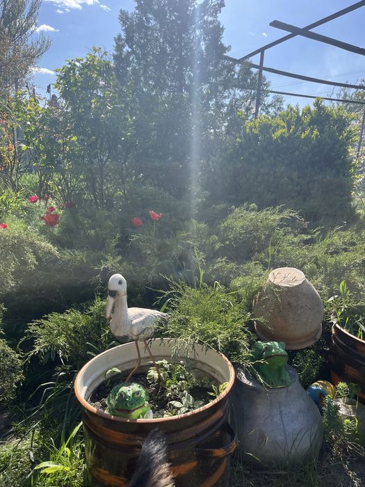 Продаж будинку в м. Верхівцеве СЕРТИФІКАТ Дніпропетровська область