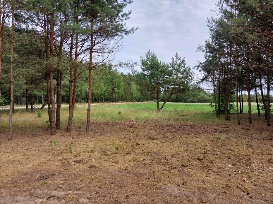 sprzedam działkę budowlaną , warunki zabudowy szablaki kolno podlaskie