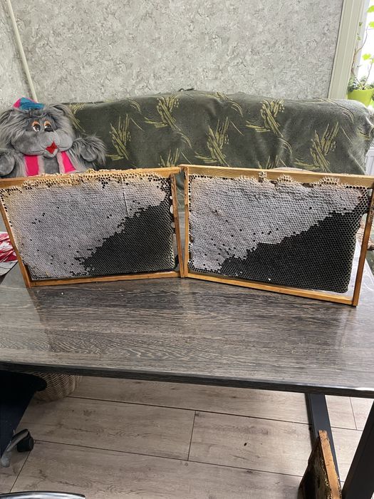 Продам медные рамки пчелиные