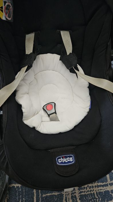 Ovo Chicco com base autofix